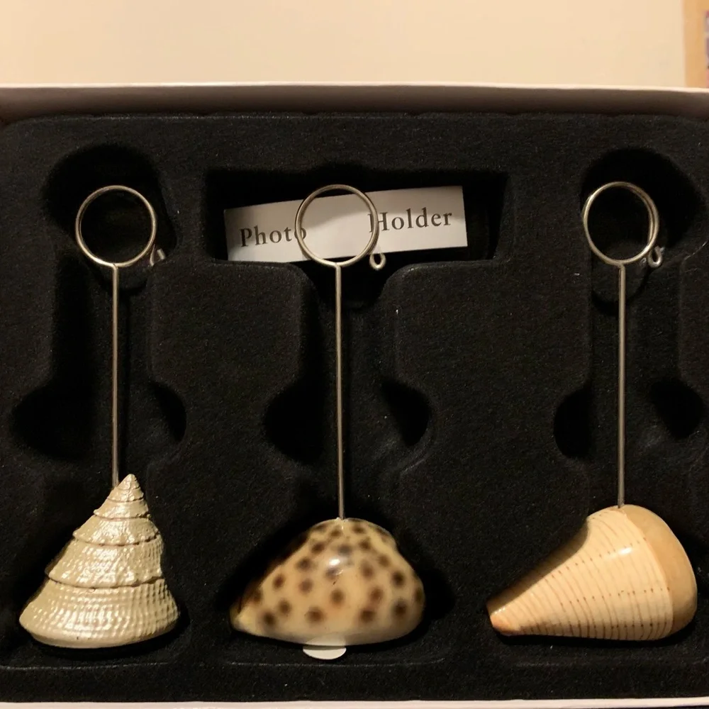 Pier 1 Home Studio Set of 3 Seashell Photo Holders Three Unique Picture Holder